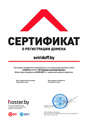 Регистрация домена SVIRIDOFF.BY